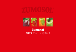 catalog 1 - Mediterranean Minded