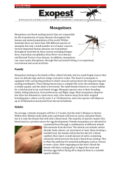 Mosquitoes