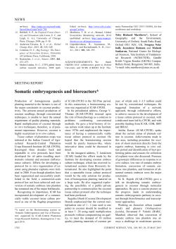 Somatic embryogenesis and bioreactors