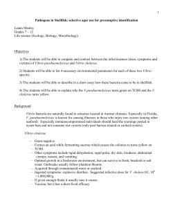 Pathogens in Shellfish: selective agar use for presumptive
