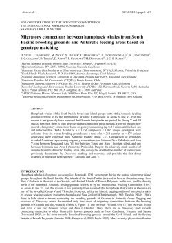 Steel D., Garrigue C., Poole M., Hauser N., Olavarr&iacute;a O., Fl&oacute;rez