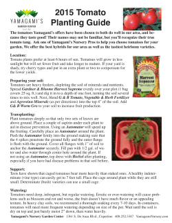 2015 Tomato Planting Guide