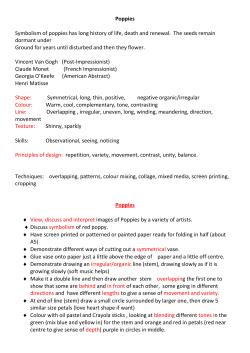 Poppies Symbolism of poppies has long history of life, death and