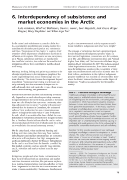 6. Interdependency of subsistence and market economies in