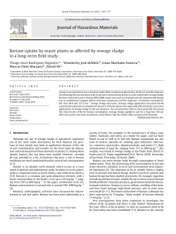 Barium uptake by maize plants as affected by sewage sludge in a