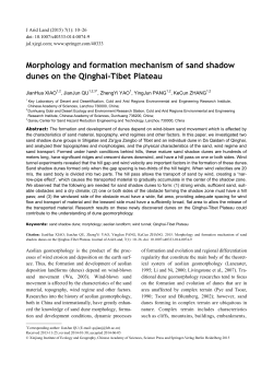 Morphology and formation mechanism of sand shadow dunes on