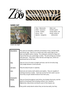Animal Fact Sheet