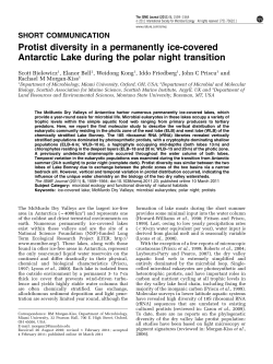 Protist diversity in a permanently ice-covered Antarctic Lake