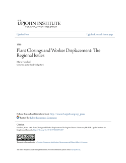Plant Closings and Worker Displacement: The
