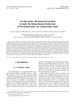 An alternative 3D numerical method to study the biomechanical