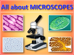 Microscope Parts - Spring Branch ISD