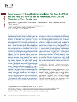 Generation of Hydroxyl Radical in Isolated Pea Root Cell Wall, and