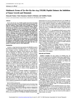 Multimene Forms of Tyr-Ile-Gly-Ser-Arg (YIGSR