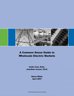 A Common Sense Guide to Wholesale Electric Markets