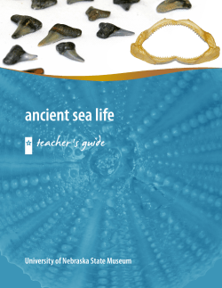 Teacher`s guide - Morrill Hall - University of Nebraska–Lincoln