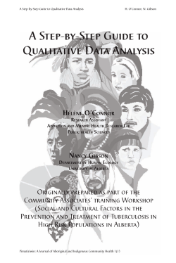 A Step-by-Step Guide to Qualitative Data Analysis