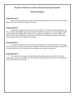 Teacher`s Notes for Lower Elementary