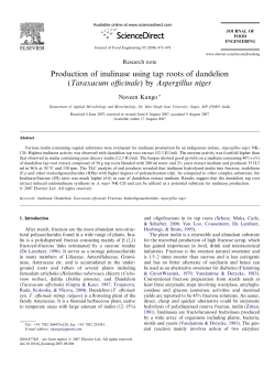 Production of inulinase using tap roots of dandelion (Taraxacum