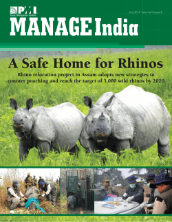 A Safe Home for Rhinos