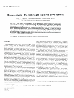 Chromoplasts - the last stages in plastid development