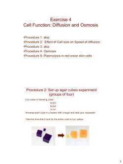 Exercise 4 Cell Function: Diffusion and Osmosis