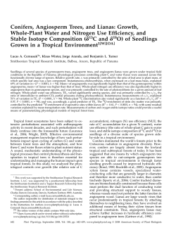 Conifers, Angiosperm Trees, and Lianas: Growth, Whole