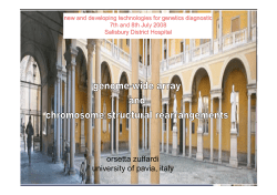 orsetta zuffardi university of pavia, italy