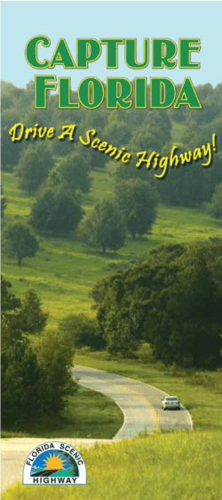 Florida State Scenic Brochure