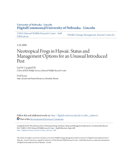 Neotropical Frogs in Hawaii: Status and Management Options for an