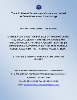 The AP Mineral Development Corporation Limited