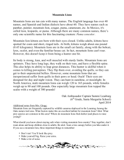 Mountain Lions Mountain lions are tan cats with many names. The