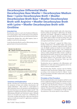 base pdf dicto.indd
