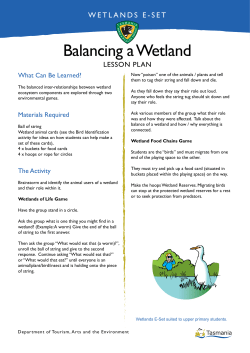 Balancing a wetland - Tasmania Parks and Wildlife