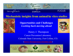 Mechanistic insights from animal/in vitro studies