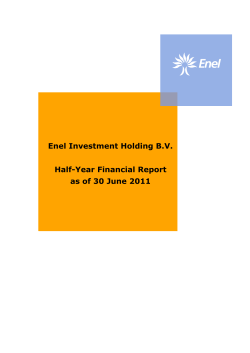 Enel Investment Holding B.V. - Half