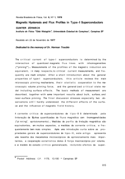 Magnetic Hysteresis and Flux Prof iles in Type