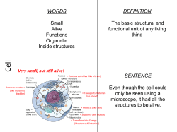 Frostbite Video Completed Four-Square Chart - UNC