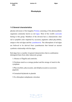 Rhodophyta 1-2 General characteristics phylum (division) of the