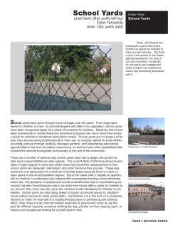 School Yards