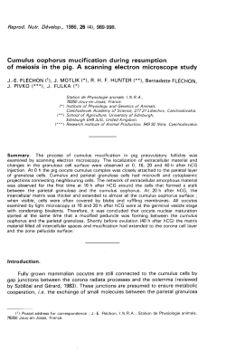 of meiosis in the pig. A scanning electron microscope study