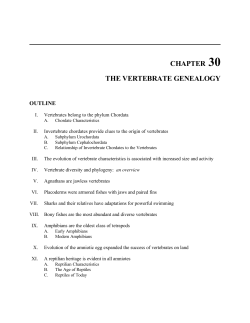 THE VERTEBRATE GENEALOGY