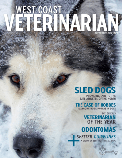 SLED DOGS - Canadian Veterinary Medical Association