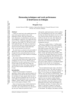 Harnessing techniques and work performance of draft horses in