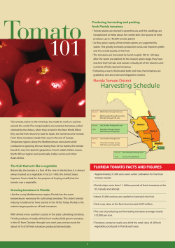 Harvesting Schedule - Florida Tomato Committee