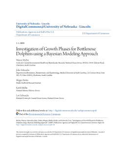 Investigation of Growth Phases for Bottlenose Dolphins using a