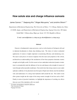How solute size and charge influence osmosis