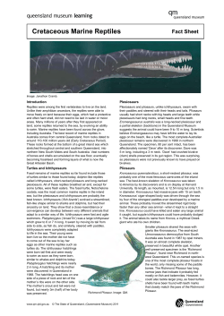 Cretaceous Marine Reptiles