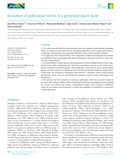 Evolution of pollination niches in a generalist plant clade