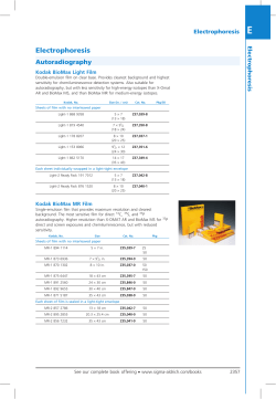Electrophoresis - Sigma