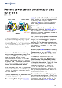 Protons power protein portal to push zinc out of cells